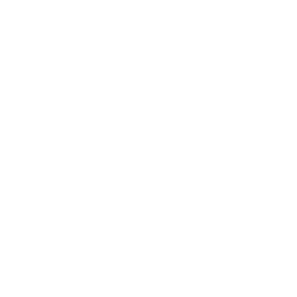 Instituto Reis