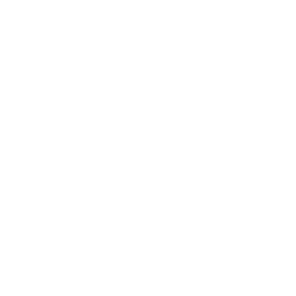 Nanytur